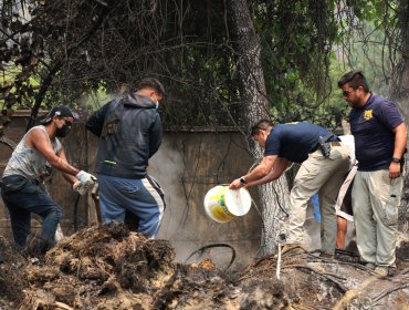 Primeras diligencias establecen que origen de incendios en Pinto, Quillón y San Nicolás serían por negligencia de origen eléctrico