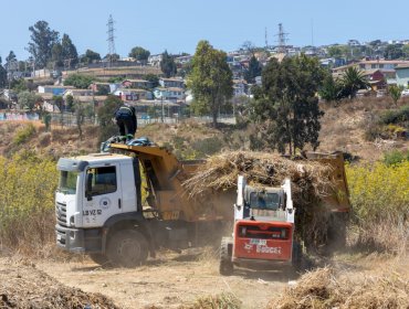 Intensifican acciones para fortalecer la prevención de incendios forestales debido a altas temperaturas en Valparaíso