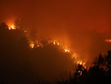 Declaran alerta roja en tres comunas de La Araucanía por incendios forestales