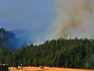 31 incendios forestales se mantienen en combate: más de 30 mil hectáreas han sido destruidas en Ñuble y Biobío