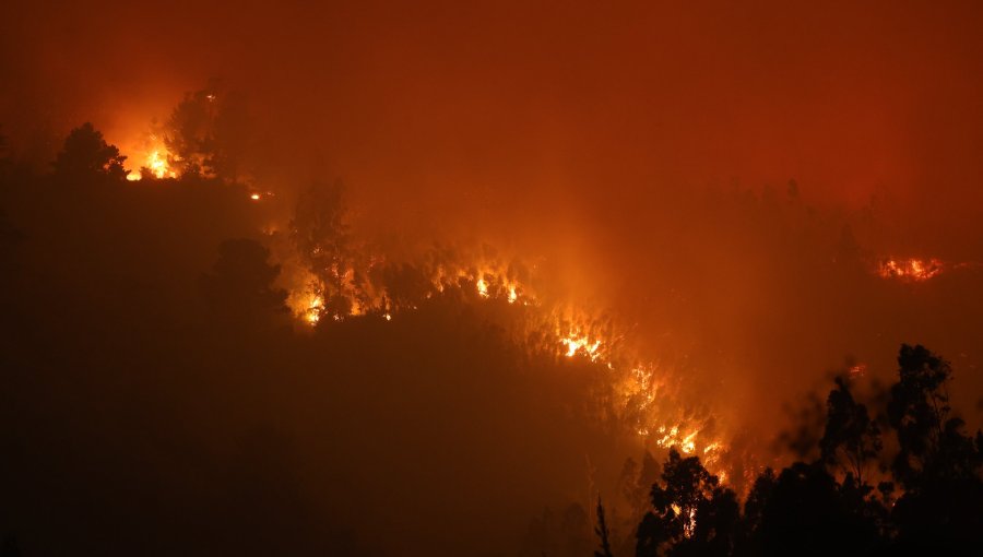 Declaran Alerta Roja en tres comunas de La Araucanía por incendios forestales