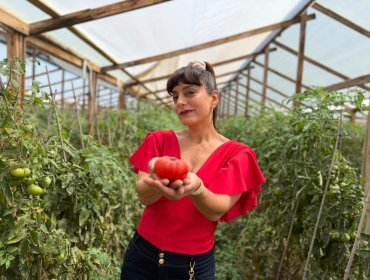 Del «Circo de las Montini» a la Fiesta del Tomate: actriz dio vida a Waleska Marambio para promocionar tradicional fiesta en Limache