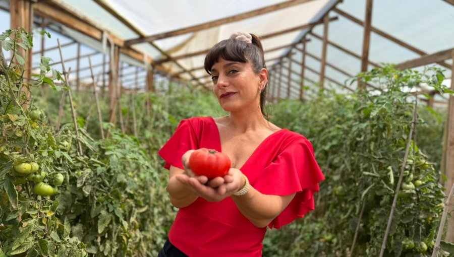 Del «Circo de las Montini» a la Fiesta del Tomate: actriz dio vida a Waleska Marambio para promocionar tradicional fiesta en Limache