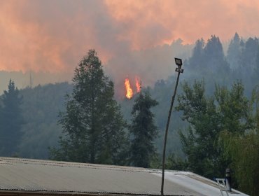28 incendios forestales se mantienen en combate y más de 44 mil hectáreas han sido consumidas