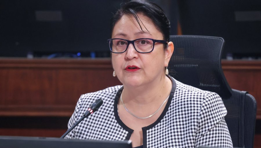 Oficialismo advierte intromisión de contralora Dorothy Pérez en debate por reajuste al sector público