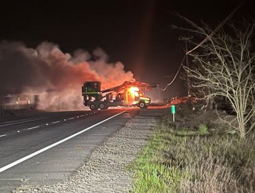 Condenan a sobrino de Héctor Llaitul y otros seis imputados por delitos de incendios y amenazas