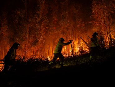 Comisión de Hacienda del Senado despacha Ley de Incendios tras críticas del Gobierno: proyecto pasa a Sala