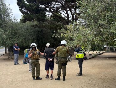 Dos detenidos deja operativo contra la instalación de rucos y el comercio ambulante en Papudo: productos fueron destruidos