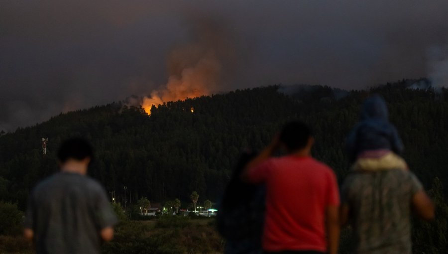 Ministro Cordero confirma la detención de sujeto acusado de iniciar incendios en La Araucanía