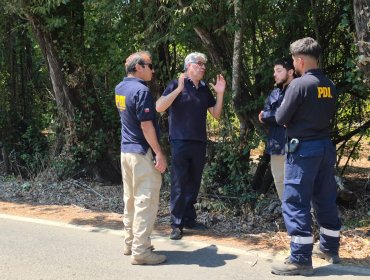 Fiscalía realiza pericias en punto de inicio de incendio forestal que afectó a Quillón y a Bulnes y que dejó a un fallecido