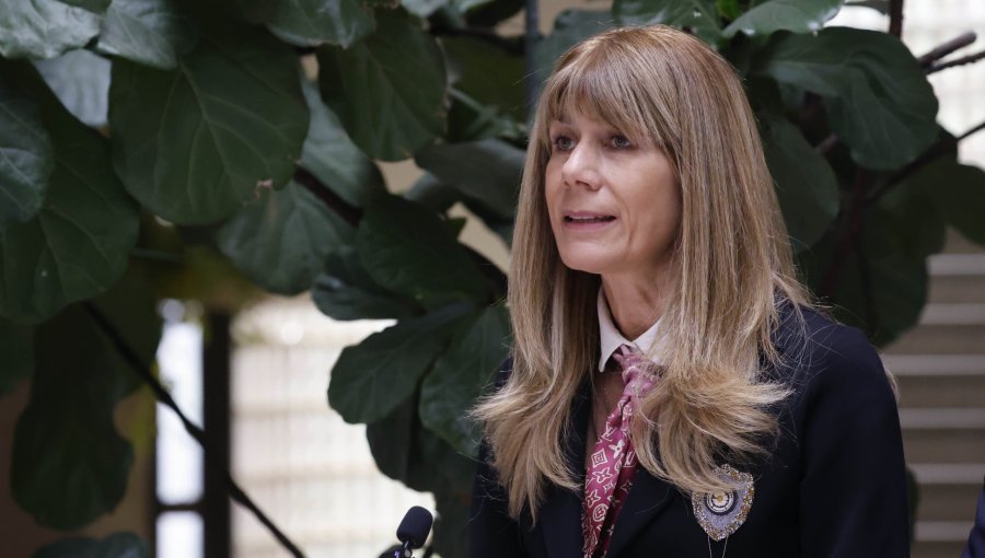 Rincón adelanta definiciones para el Ministerio de Energía: "Revisar el marco normativo sin sacrificar los estándares ambientales"