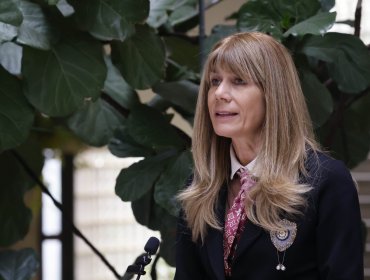 Rincón adelanta definiciones para el Ministerio de Energía: "Revisar el marco normativo sin sacrificar los estándares ambientales"