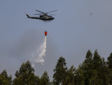 Presencia de drones obligó a suspender por más de una hora el combate aéreo de incendio forestal en Quillón