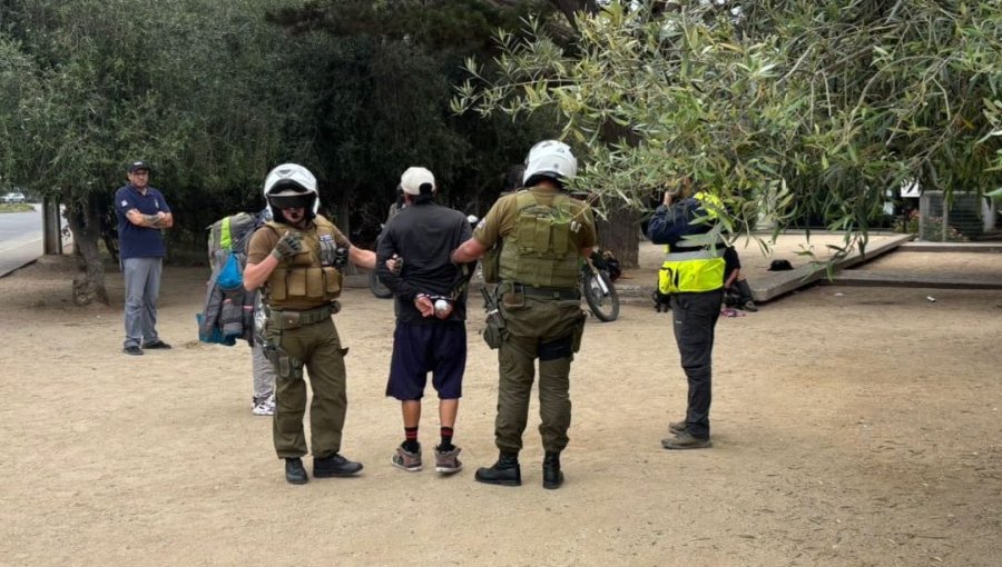 Dos detenidos deja operativo contra la instalación de rucos y el comercio ambulante en Papudo: productos fueron destruidos