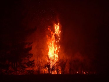 Detienen a hombre por su presunta responsabilidad en megaincendio en el Biobío: habría manipulado una cocina a leña