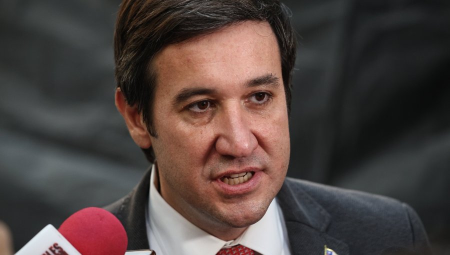 Presidente de la UDI defiende gabinete de Kast y abre la puerta a incorporar a Libertarios