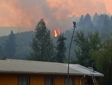 Greenpeace lanza campaña y presiona al Senado por ley clave para prevenir incendios forestales