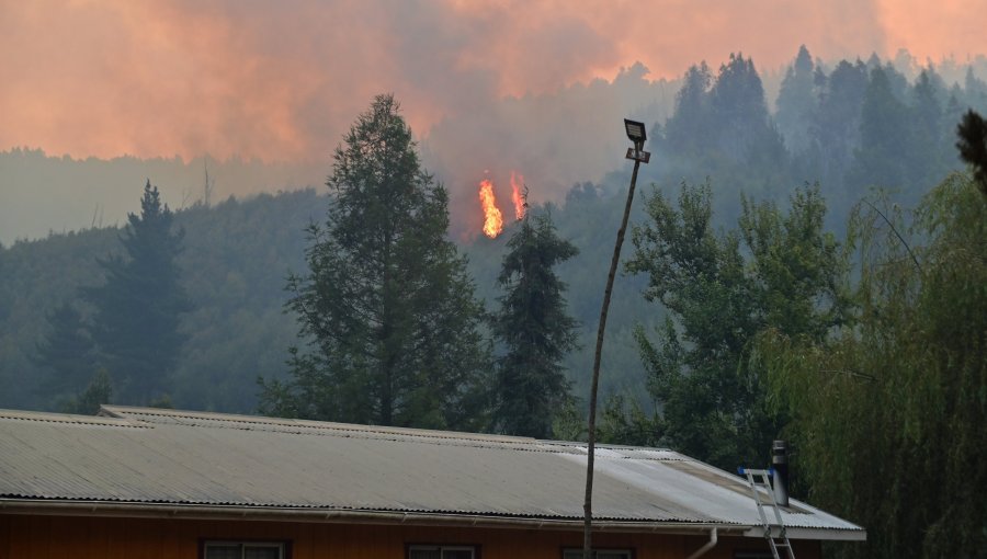 Greenpeace lanza campaña y presiona al Senado por ley clave para prevenir incendios forestales