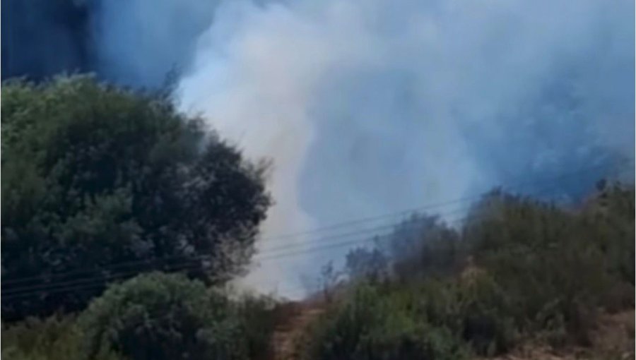 Alerta en Quilpué: incendio de pastizales en sector Valencia cerca de estación ferroviaria