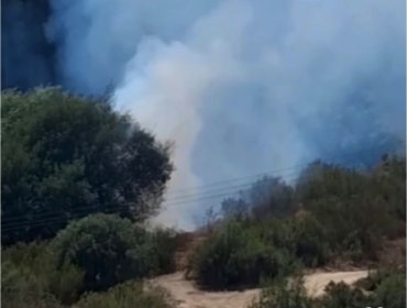 Alerta en Quilpué: incendio de pastizales en sector Valencia cerca de estación ferroviaria