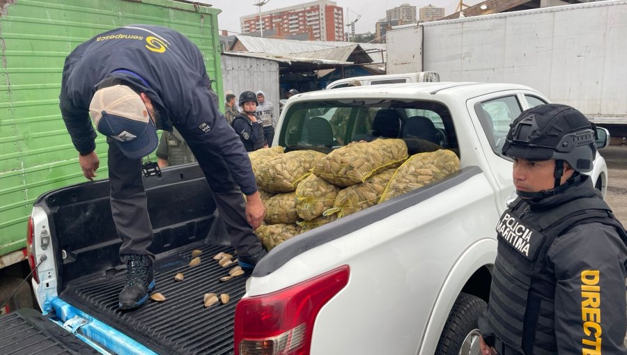 Sernapesca Valparaíso incauta más de una tonelada de recursos en operativo contra pesca ilegal