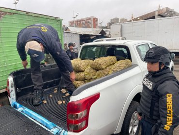Sernapesca Valparaíso incauta más de una tonelada de recursos en operativo contra pesca ilegal