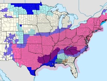 Tormenta “monstruosa” paraliza vuelos y deja miles de hogares sin electricidad en EE.UU.