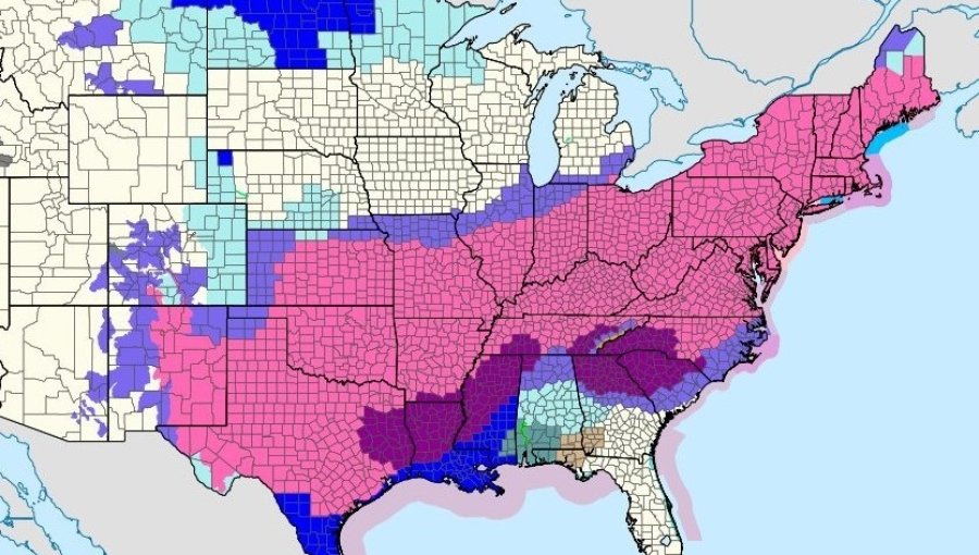 Tormenta “monstruosa” paraliza vuelos y deja miles de hogares sin electricidad en EE.UU.