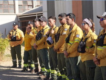 Brigadistas argentinos llegan a Chile para apoyar combate de incendios forestales