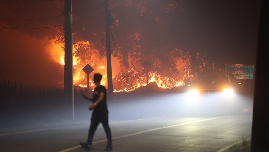 Conaf reporta 76 incendios forestales activos a nivel nacional