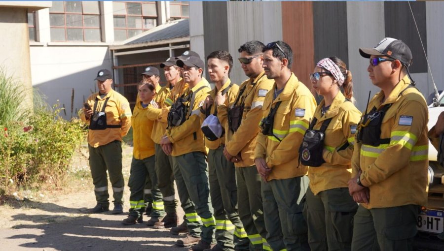 Brigadistas argentinos llegan a Chile para apoyar combate de incendios forestales