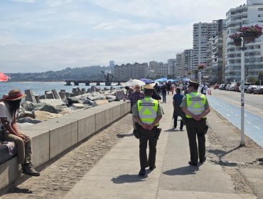 140 personas han sido detenidas en Viña del Mar durante el primer mes del año: en su mayoría han sido por Ley de Drogas