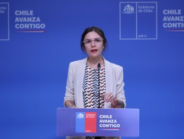 Vocera de Gobierno afirma que caso de Ángela Vivanco marca un "pésimo precedente" para el sistema de justicia chileno