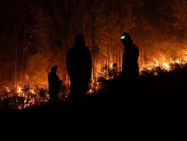 Senado aprueba la Ley de Incendios y proyecto avanza a tercer trámite en la Cámara de Diputados
