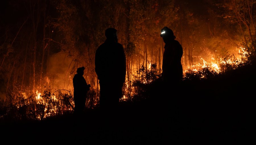 Senado aprueba la Ley de Incendios y proyecto avanza a tercer trámite en la Cámara de Diputados