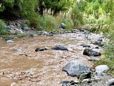 Lluvias elevan turbiedad del río Aconcagua y activan alerta amarilla en Los Andes