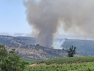 Incendio forestal de grandes proporciones afecta a Rinconada de San Juan en San Antonio