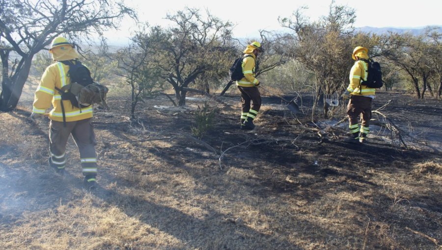35 hectáreas ha consumido el incendio forestal que se mantiene "en combate" en San Antonio