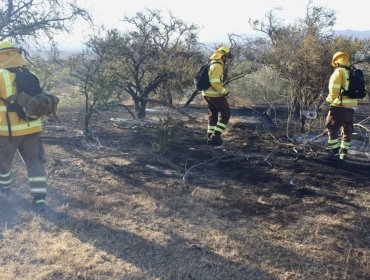 35 hectáreas ha consumido el incendio forestal que se mantiene "en combate" en San Antonio