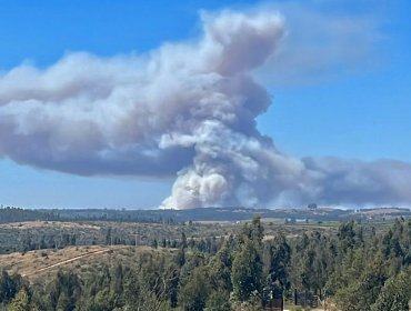 Incendio con "comportamiento extremo" consume más de 25 hectáreas en San Antonio