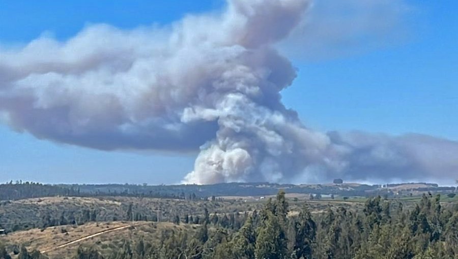 Incendio con "comportamiento extremo" consume más de 25 hectáreas en San Antonio