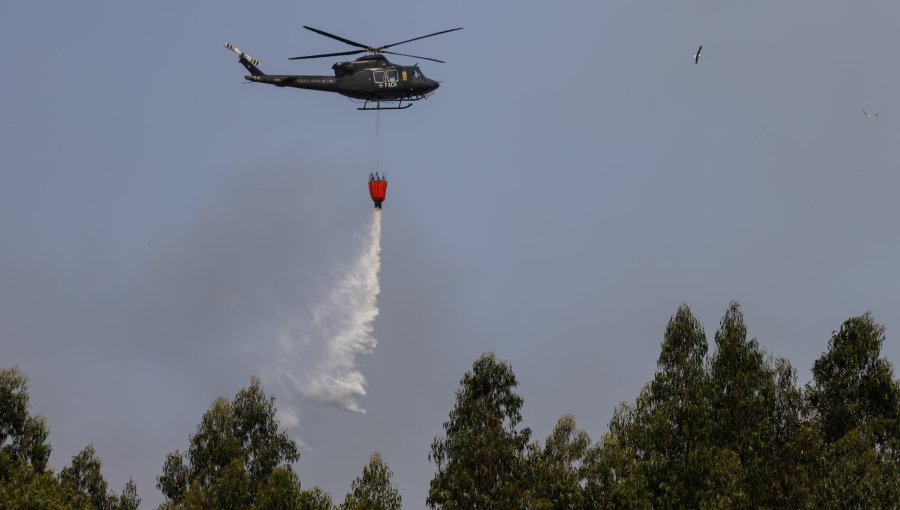Incendios forestales reactivan debate por nueva ley: Senado aprueba norma, pero expertos cuestionan su capacidad preventiva