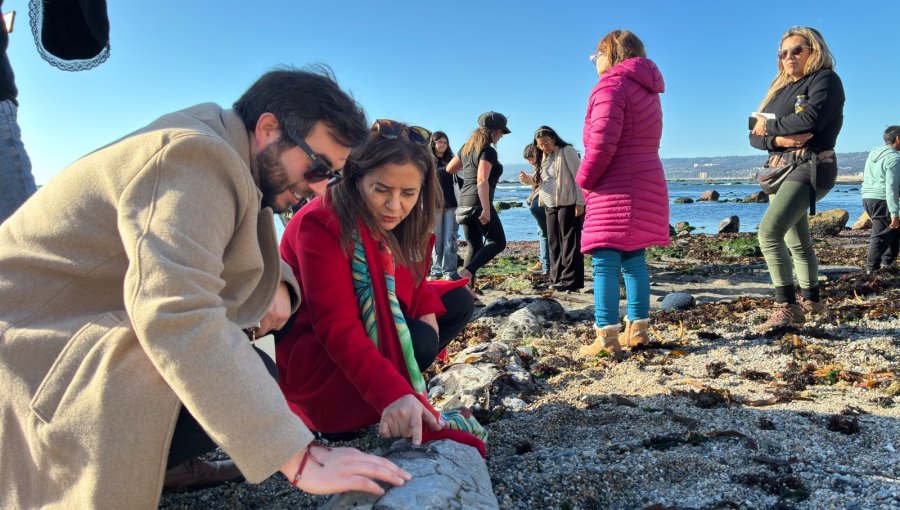 Más de 140 actividades darán vida a la primera edición del Día de los Patrimonios en Verano en la región de Valparaíso