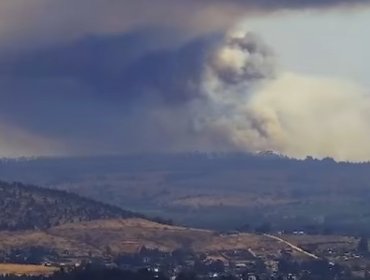 En combate se mantiene incendio forestal que ha consumido 80 hectáreas en San Antonio: Alerta Amarilla fue cancelada