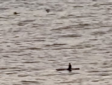 Reinician búsqueda de joven deportista desaparecido en la playa Amarilla de Concón