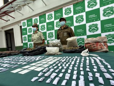 Cae peligrosa banda narco que producía y vendía droga en La Calera e Hijuelas: 13 detenidos, incluidos sus dos líderes