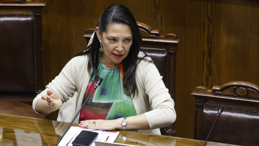 Ministra Lobos espera que candidatura de Bachelet a la ONU no se use como "excusa" para frenar trabajos legislativos