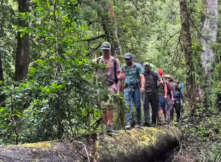 Pangal Andrade e integrantes de “El Clan” logran salida alternativa por uso ilícito de fuego al interior del Parque Nacional Hornopirén