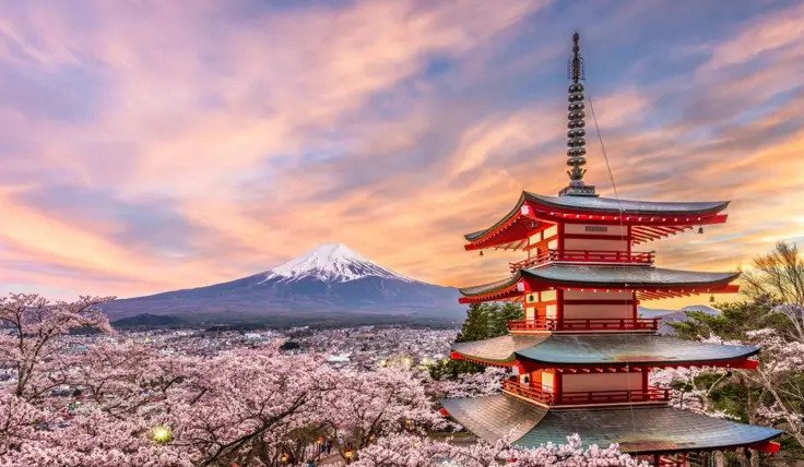 Cancelan un famoso festival de los cerezos de Japón ante el mal comportamiento de los turistas