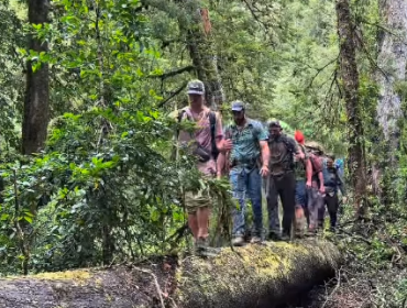 Pangal Andrade e integrantes de “El Clan” logran salida alternativa por uso ilícito de fuego al interior del Parque Nacional Hornopirén